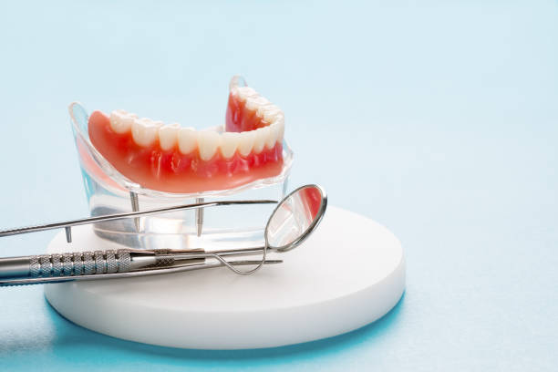 Professional  Holistic Dental Services in Little River Academy, TX
